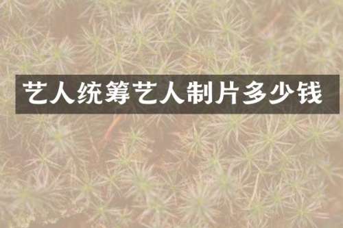 艺人统筹艺人制片多少钱