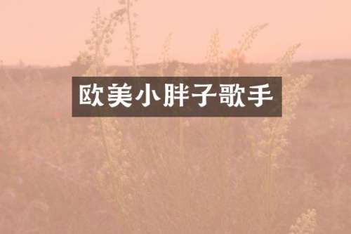 欧美小胖子歌手