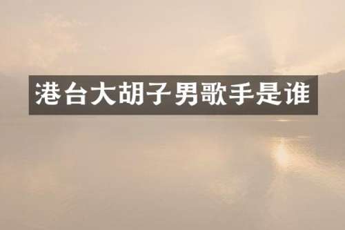 港台大胡子男歌手是谁