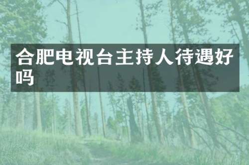 合肥电视台主持人待遇好吗