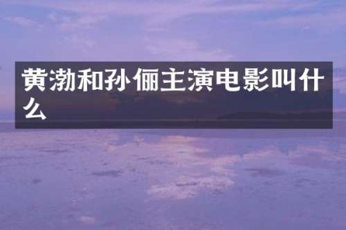 黄渤和孙俪主演电影叫什么