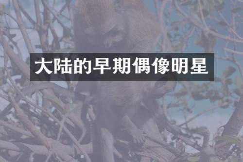 大陆的早期偶像明星