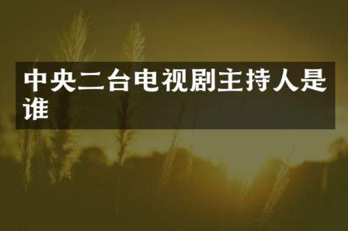 中央二台电视剧主持人是谁
