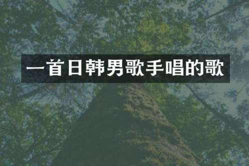 一首日韩男歌手唱的歌