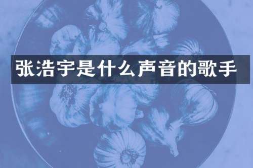 张浩宇是什么声音的歌手