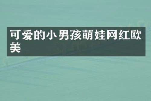 可爱的小男孩萌娃网红欧美