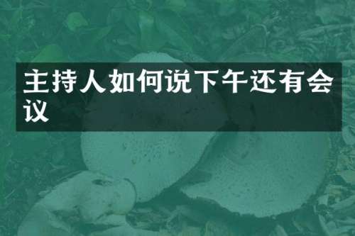 主持人如何说下午还有会议