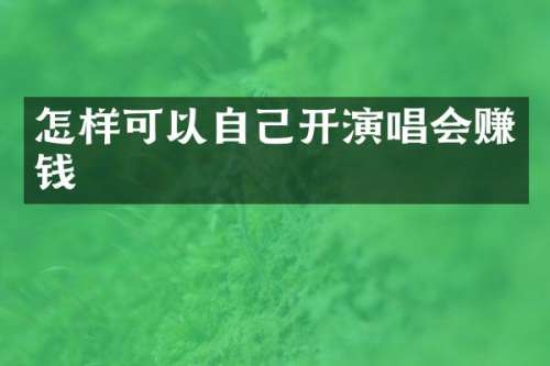 怎样可以自己开演唱会赚钱