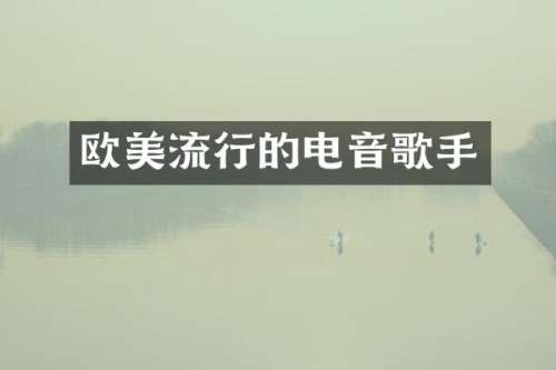 欧美流行的电音歌手