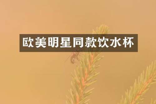 欧美明星同款饮水杯