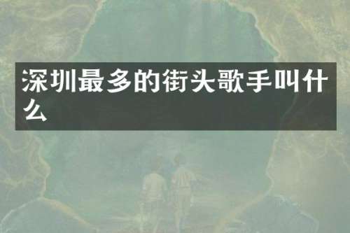 深圳最多的街头歌手叫什么