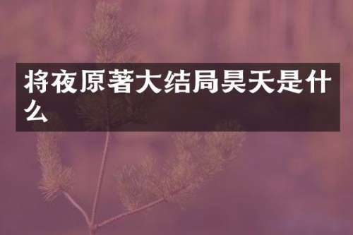 将夜原著大结局昊天是什么