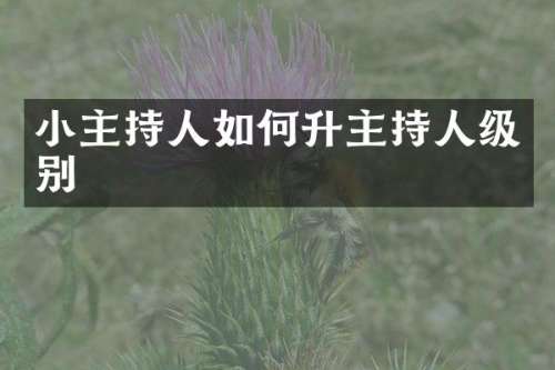 小主持人如何升主持人级别