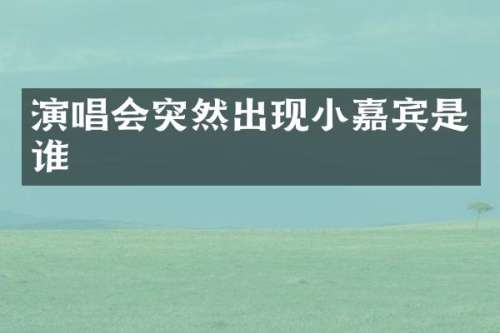 演唱会突然出现小嘉宾是谁