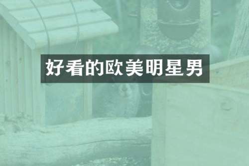 好看的欧美明星男