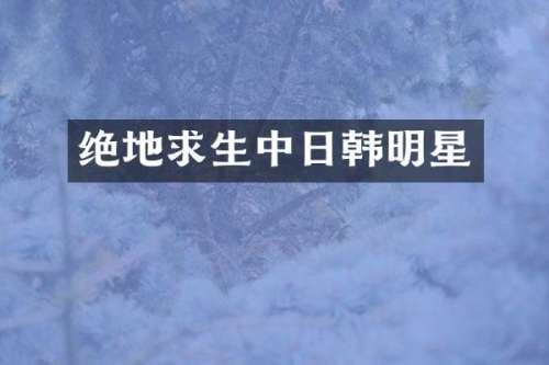绝地求生中日韩明星