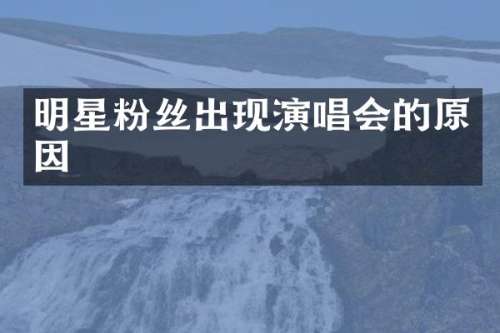 明星粉丝出现演唱会的原因