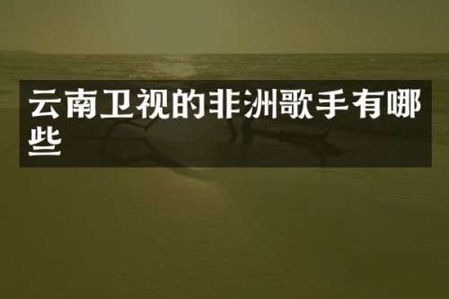 云南卫视的非洲歌手有哪些