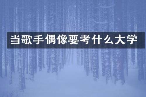 当歌手偶像要考什么大学