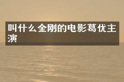 叫什么金刚的电影葛优主演