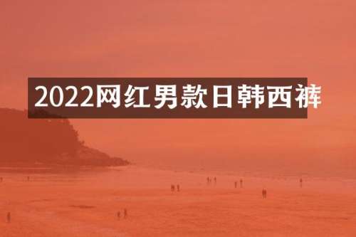 2022网红男款日韩西裤