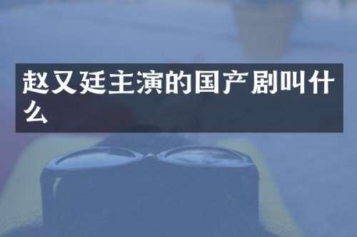 赵又廷主演的国产剧叫什么