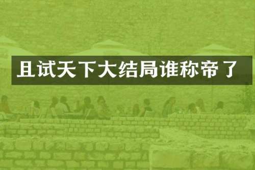 且试天下大结局谁称帝了