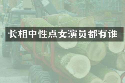 长相中性点女演员都有谁