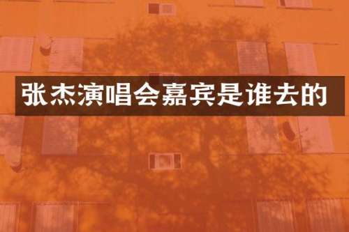 张杰演唱会嘉宾是谁去的