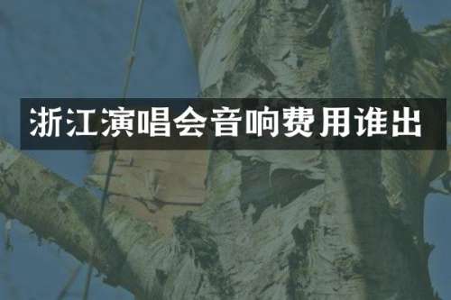 浙江演唱会音响费用谁出