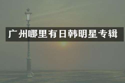 广州哪里有日韩明星专辑