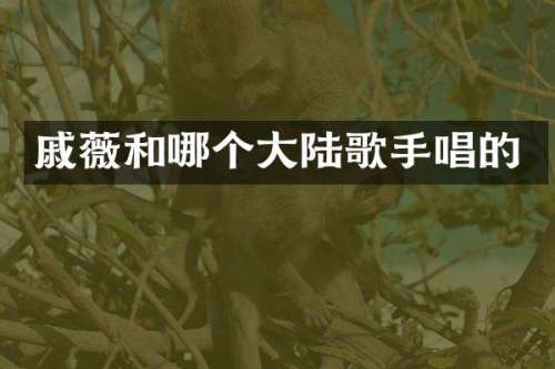 戚薇和哪个大陆歌手唱的