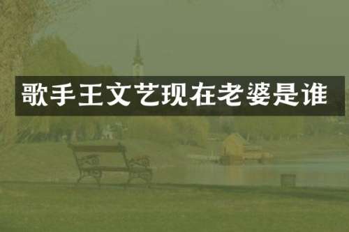 歌手王文艺现在老婆是谁