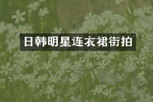 日韩明星连衣裙街拍