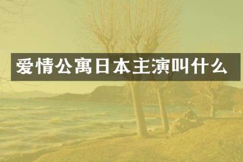 爱情公寓日本主演叫什么