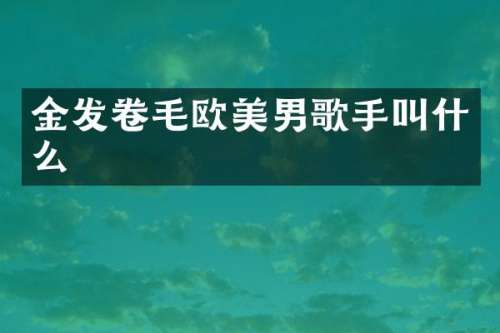 金发卷毛欧美男歌手叫什么