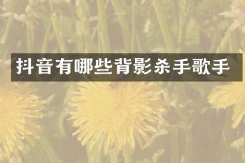 抖音有哪些背影杀手歌手