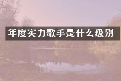 年度实力歌手是什么级别