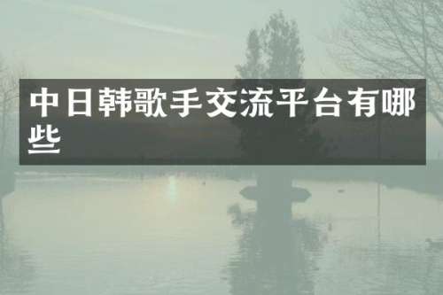中日韩歌手交流平台有哪些