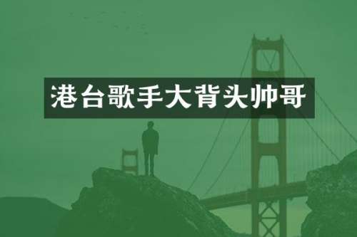 港台歌手大背头帅哥