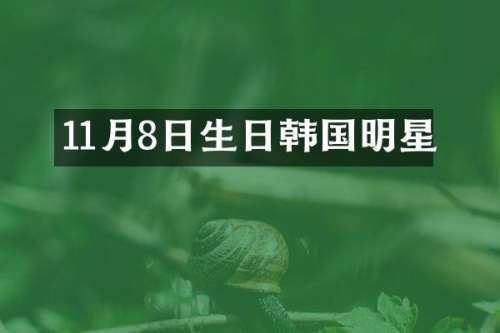 11月8日生日韩国明星