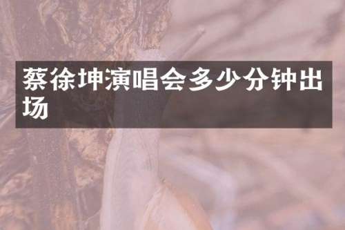 蔡徐坤演唱会多少分钟出场