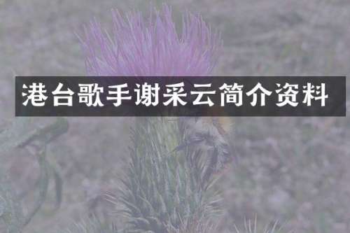 港台歌手谢采云简介资料