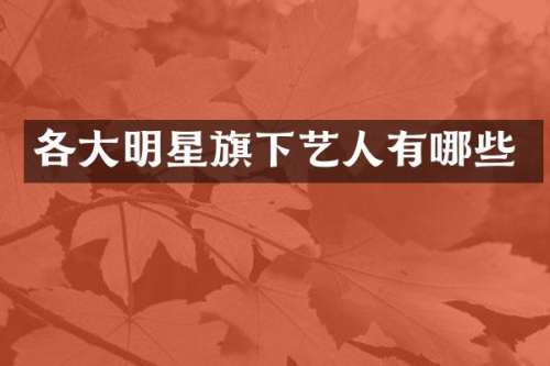 各大明星旗下艺人有哪些