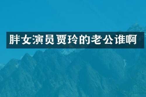 胖女演员贾玲的老公谁啊