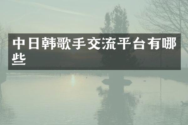 中日韩歌手交流平台有哪些