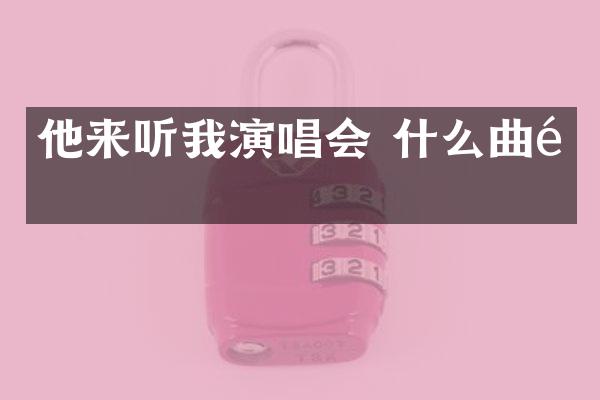 他来听我演唱会 什么曲风