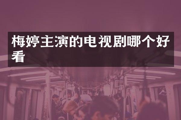 梅婷主演的电视剧哪个好看