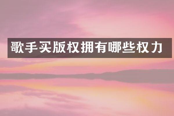 歌手买版权拥有哪些权力