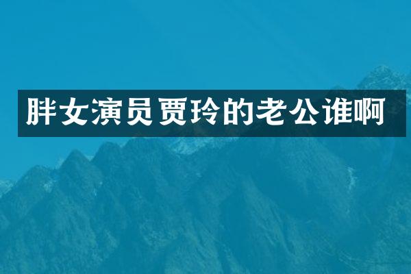 胖女演员贾玲的老公谁啊